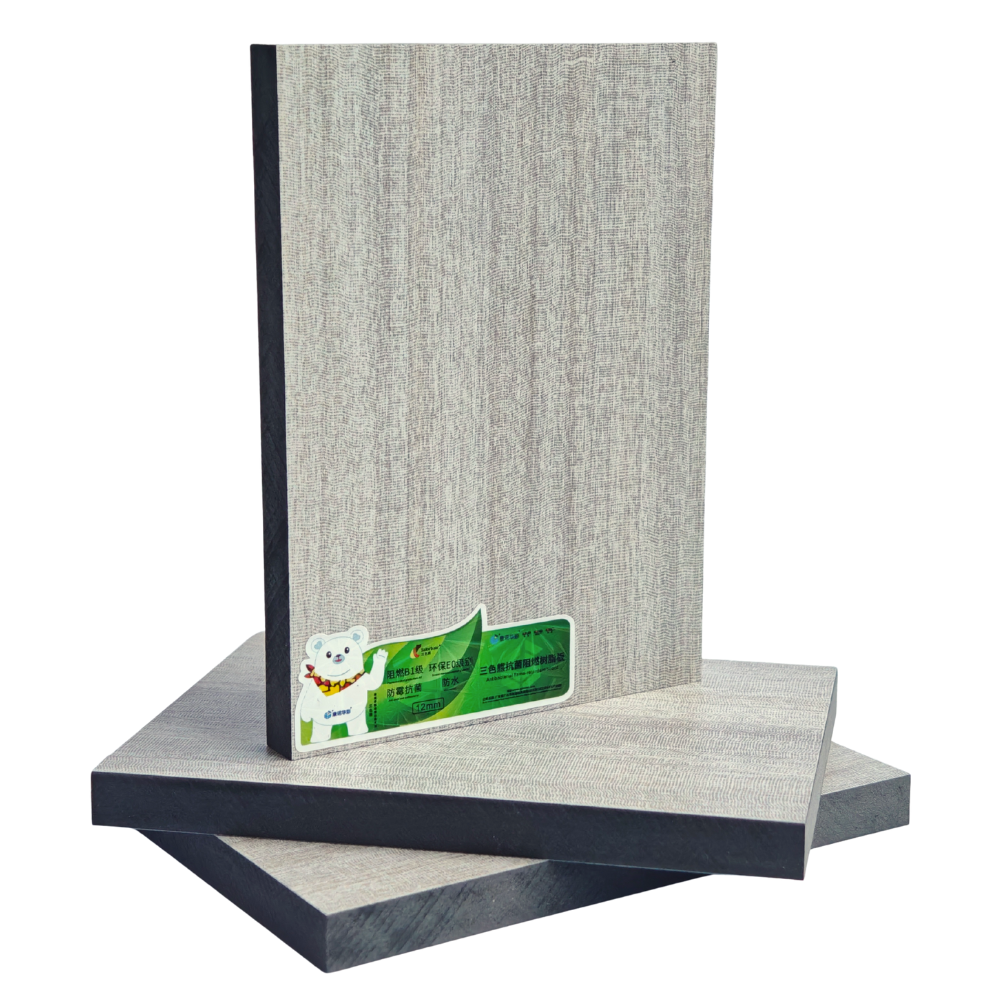 KN-Salorbear-FR- (47)